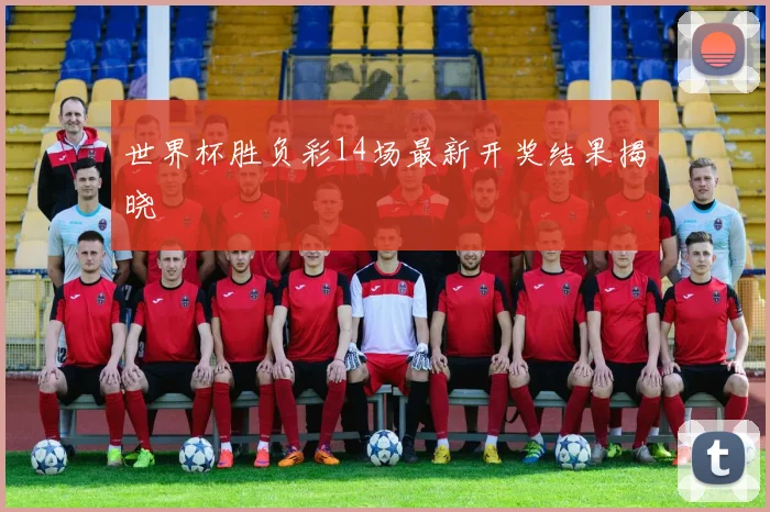 世界杯胜负彩14场最新开奖结果揭晓