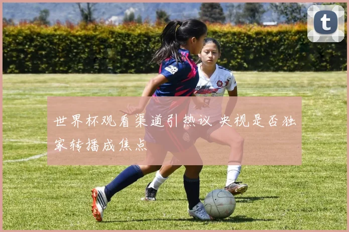 世界杯观看渠道引热议 央视是否独家转播成焦点